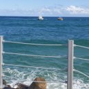 동호해변 이미지