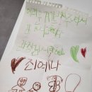 태권도 다움 이미지