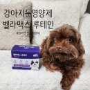 모라동물병원 | 강아지 눈 영양제 SBS TV 동물농장 벨라맥스 루테인 후기