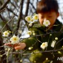 개화주유소 이미지