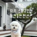 장정양오길 | 강화도 애견동반 펜션 신축 럭키스튜디오 다녀온 후기