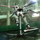 MG ZGMF-X10A FREEDOM GUNDAM-BLACK(G.Seed&amp;Destiny) 이미지