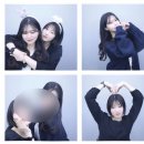진도 울그미 왕꽈배기 | 들어오세요