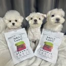 레드생튜나 | 동결건조 자연식 추천 알로키친밸런스바 7종세트 후기