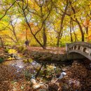 (주)동백여행사
