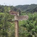 산촌상회