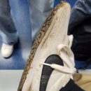 댕신나게 이미지