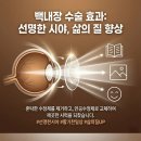 루카스성모안과의원 네이버블로그