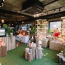 푸하우스 이미지