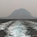 석곡(화산) 이미지