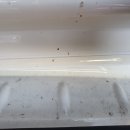 웁스 디테일링 이미지