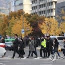 오호비 이미지