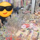 그린종합시장 | 클리커 입문자라면 무조건! 동대문 종합시장 클리커·키캡 재료 쇼핑 총정리 🎹 (주차 꿀팁 포함)