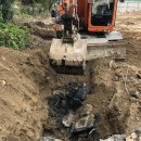 서울신남성초등학교 이미지