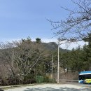 카페 쿠쿠오나 | [통영 맛집] 산양면 조용하고 예쁜 카페- 쿠쿠오나 내돈내산 솔직후기