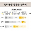 모모헤어연구소