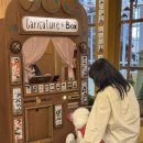 똥강아지 애견샵 | 연남동애견동반 | 댕이득마켓부터 식당·카페·소품샵까지