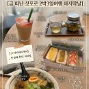 624 | [삿포로 여행 3일차] 니조시장부터 공항 라멘까지 🍜 마지막날 쇼핑·맛집 코스 | ZE624 사전좌석 후기