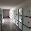 동홍동-20 이미지