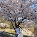 앵강민박 이미지