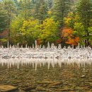 인제약국 | 인제여행 지역별 안전팁(내린천,인제읍,방태산)