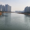 시화호 자전거연결도로(데크) | 반월천 따라 걷기3(안산수변공원 입구-수노을교-K-water환경에너지센터)