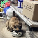 삼성당최한의원 이미지