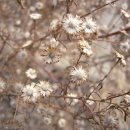 오픈마인드 이미지