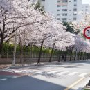 가락타운2단지 이미지