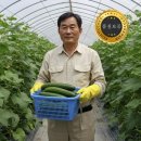 오롯이 이미지
