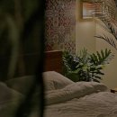 PAUSA 네이버블로그