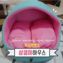 맘앤독스 이미지