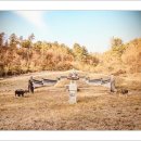 흥은위 정재화묘 이미지