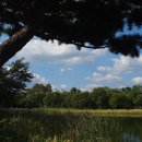 서울숲 생태숲 화장실 이미지