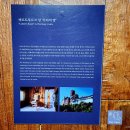 국제성서박물관 이미지