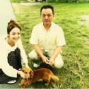 사사키 노조미 카카오 검색결과