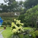 골프존 덕산 | 예산 덕산 스플라스 리솜