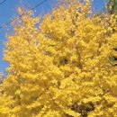 건강한생활 이미지