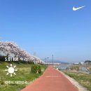 경주여행 ③ : 경주모닝런, 카페이상적, 경주월드(+경주월드네컷)