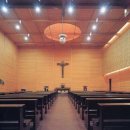 대전가톨릭대학교 이미지