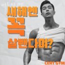 써트짐 | 수내동헬스장 분당구 성남시 헬스 PT pt 피티 써트짐 PT 가격 위치 주차 후기