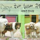 대형견프리미엄아울렛 이미지