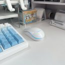 유선 | [쿠팡/내돈내산] 7900원 맥스틸 무소음 USB 유선 마우스 후기 │ 가성비 마우스 추천👍