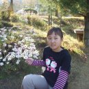 혜민이네 이미지