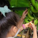 동산농장(1) 이미지