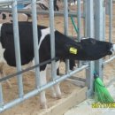 대농축산 이미지