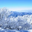 사계절풍경 이미지