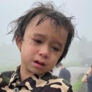 (주)행복나라여행사 | 🇨🇭🇨🇭 4월 스위스 그린델발트 여행 후기 | 풍경은 공짜, 내 통장은 탈탈😱