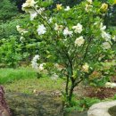 해마루민박 이미지