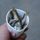 서울펜션 이미지